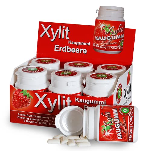 Xylit Kaugummi ERDBEERE | 6 x 80 Stk Dose | BigPack mit 480 Kaugummis | zuckerfrei & vegan von Xund Xüsst