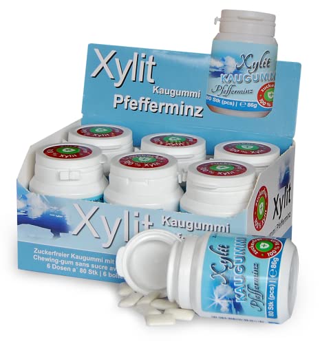 Xylit Kaugummi PFEFFERMINZ | 6 x 80 Stk Dose | BigPack mit 480 Kaugummis | zuckerfrei & vegan von Xund Xüsst