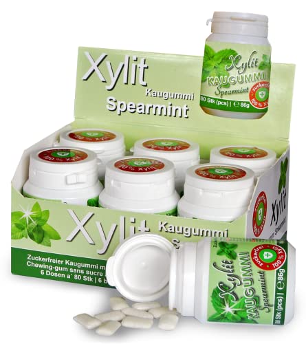 Xylit Kaugummi SPEARMINT | 6 x 80 Stk Dose | BigPack mit 480 Kaugummis | zuckerfrei & vegan von Xund Xüsst