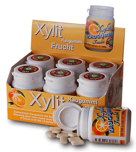 Xylit Kaugummi | Tschüß Karies: 480 zuckerfreie Zahnpflegekaugummi mit 100% Xylit, ohne Aspartam, vegan | Frucht (6er Pack) von Xund Xüsst