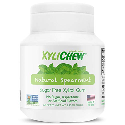 Xylichew 100% xylitol chewing gum gläser - non gmo, gluten, aspartam und zuckerfreier kaugummi -bad atem und mundtrockenheit 60 count grüne minze von Xylichew