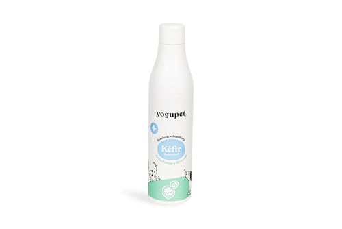 YOGUPET KEFIR DIGESTIV Blaubeeren und Brokkoli 200 ml YOGUPET KEFIR DIGESTIV Blaubeeren und Brokkoli 200 ml von YOGUPET