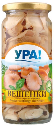 Eingelegte Pilze - Marinierte Pilze / Austernseitlinge - YRA! 500ml Eingelegte Pilze - Marinierte Pilze / Austernseitlinge - YRA! 500ml von YPA!