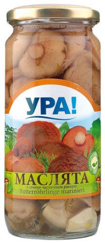 Eingelegte Pilze - Marinierte Pilze / Butterröhrlinge - YRA! 500ml Eingelegte Pilze - Marinierte Pilze / Butterröhrlinge - YRA! 500ml von YPA!