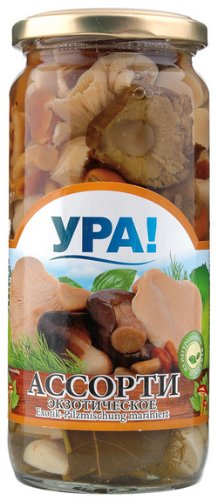 Eingelegte Pilze - Marinierte Pilze / Exotik-Mischung - YRA! 500ml Eingelegte Pilze - Marinierte Pilze / Exotik-Mischung - YRA! 500ml von YPA!