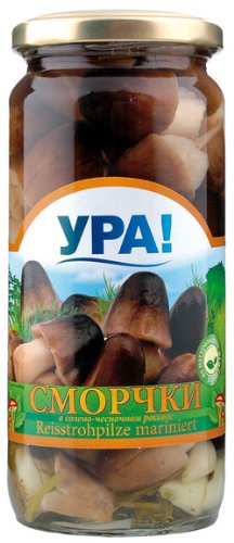 Eingelegte Pilze - Marinierte Pilze / Riesenträuschlinge- YRA! 500ml Eingelegte Pilze - Marinierte Pilze / Riesenträuschlinge- YRA! 500ml von YPA!