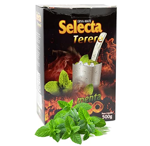 🍃 Selecta Erva Mate Tee Terere Fire / Feuer 0.5 kg + Geschenk Probe (50g): 🧉Reich an Antioxidantien und Vitaminen, beschleunigt den Stoffwechsel, zuckerfrei | Brasilien 🇧🇷 von Yerbox