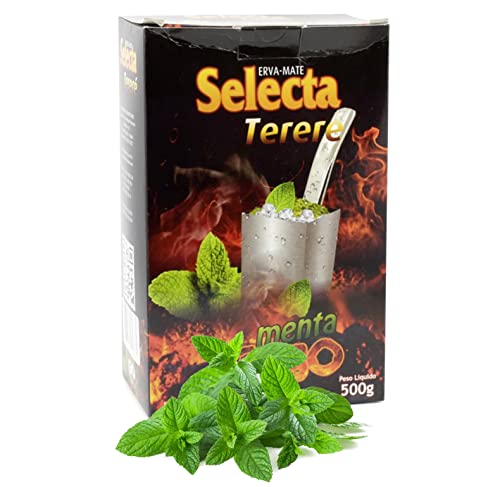 Selecta Erva Mate Tee Terere Fire/Feuer 0.5 kg + Geschenk Probe (50g): Reich an Antioxidantien und Vitaminen, beschleunigt den Stoffwechsel, zuckerfrei | Brasilien von Yerbox