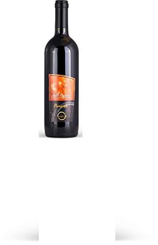 Cantine Mainetti - Colli Piacentini D.O.C. Sparkling Dry Bonarda - 6 Bottles von YesEatIs