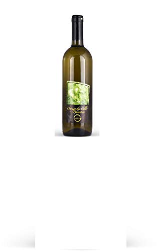 Cantine Mainetti - Ortrugo dei Colli Piacentini D.O.C. Sparkling - 6 Bottles von YesEatIs