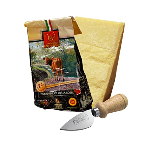 YesEatIs Special Box - Consorzio Vacche Rosse - Parmigiano Reggiano 24 monate - 1Kg - Edelstahlwerkzeug für Parmigano-Käse von YesEatIs