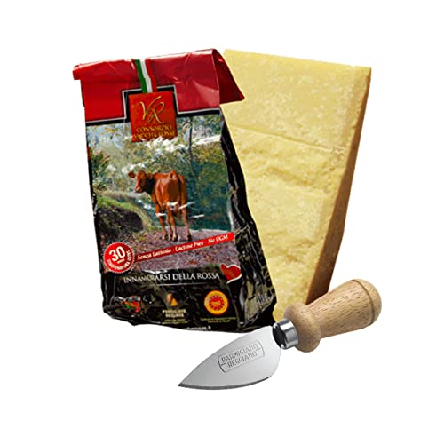 YesEatIs Special Box - Consorzio Vacche Rosse - Parmigiano Reggiano 30 monate - 1 Kg - Edelstahlwerkzeug für Parmigano-Käse von YesEatIs