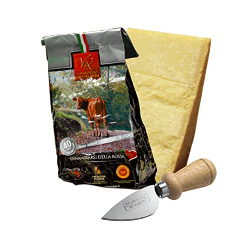 YesEatIs Special Box - Consorzio Vacche Rosse - Parmigiano Reggiano 40 monate - 1 Kg - Edelstahlwerkzeug für Parmigano-Käse von YesEatIs