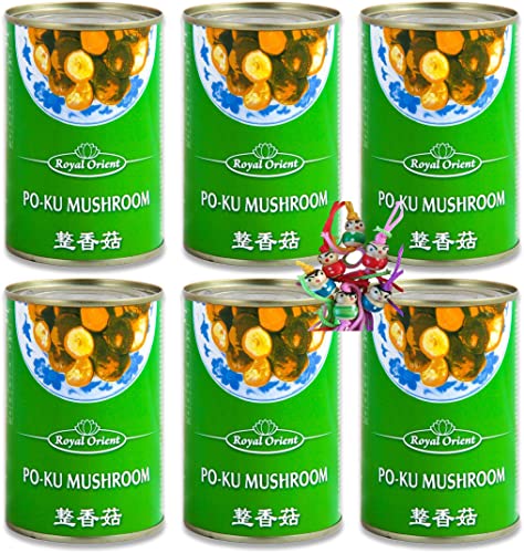 yoaxia ® - 6er Pack - [ 6x 284g / ATG 156g ] Shiitake Pilze / Shitake Pilze / Po-Ku Mushrooms + ein kleines Glückspüppchen - Holzpüppchen von Yoaxia