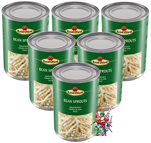 yoaxia ® - 6er Pack - [ 6x 425g/ 200g ATG ] Sojasprossen in Wasser / Bean Sprouts + ein kleiner Glücksanhänger gratis von yoaxia