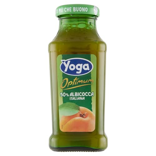 APRIKOSENSAFT 200ML X 24 STK von Yoga