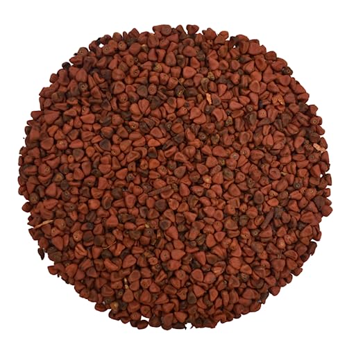 Annatto Ganz Samen Annattosamen Achiote - Bixa Orellana (1.5kg) von YouHerbIt