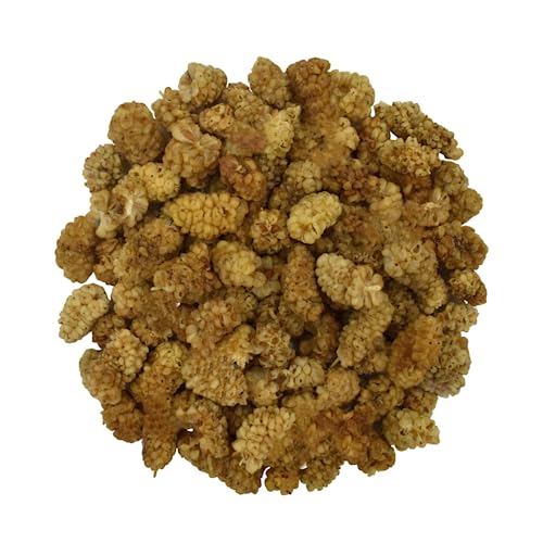 Getrocknet Ganz Weiße Maulbeeren - Morus Alba L. (50g) von YouHerbIt
