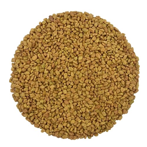 Bockshornklee Ganz Samen Bockshornkleesamen - Trigonella Foenum-Graecum L. (1.5kg) von YouHerbIt