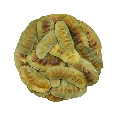 Sennesfrüchte Alexandrische Senna Laub Trocken Tee Handverlesen - Senna Alexandrina (1.5kg) von YouHerbIt