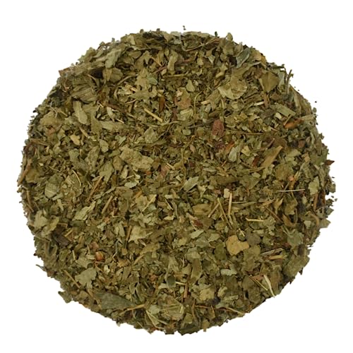 Walderdbeerblätter Walderdbeere Getrocknet Blätter Kräutertee - Fragaria Vesca (1.5kg) von YouHerbIt