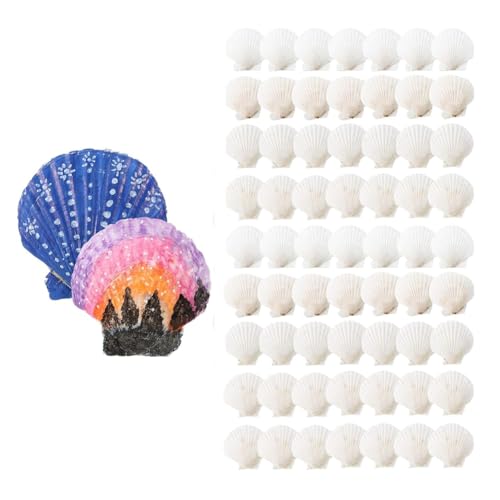 Yunnaty 100 Stück Meeresmuscheln zum Basteln, Große Natürliche Jakobsmuscheln, Weiße Austernschalen, Großpackung zum Dekorieren, Heimwerken, Strand Yunnaty 100 Stück Meeresmuscheln zum Basteln, Große Natürliche Jakobsmuscheln, Weiße Austernschalen, Großpackung zum Dekorieren, Heimwerken, Strand von Yunnaty