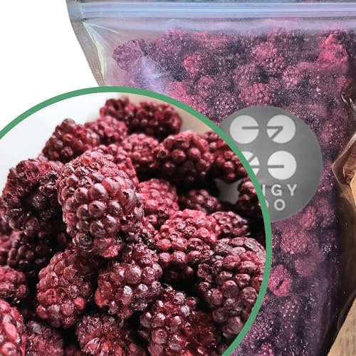 Brombeeren Gefriergetrocknete Früchte Ohne Zucker | XL 350g Natürlich Ungezuckert Blackberry Trockenfrüchte mach dein Brombeerpulver | Natural Freeze Dried Fruit | Obst Gefriergetrocknet | ZingyZoo von ZINGY ZOO