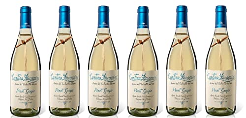 6x 0,75l - 2024er - Zaccagnini - Pinot Grigio - Terre di Chieti I.G.P. - Abruzzen - Italien - Weißwein trocken 6x 0,75l - 2024er - Zaccagnini - Pinot Grigio - Terre di Chieti I.G.P. - Abruzzen - Italien - Weißwein trocken von Zaccagnini