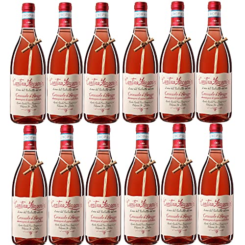 Zaccagnini Cerasuolo d'Abruzzo DOC Roséwein Wein trocken Italien (12 Flaschen) von Zaccagnini