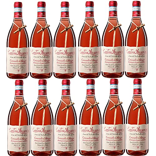 Zaccagnini Cerasuolo d'Abruzzo DOC Roséwein Wein trocken Italien (12 Flaschen) von Zaccagnini