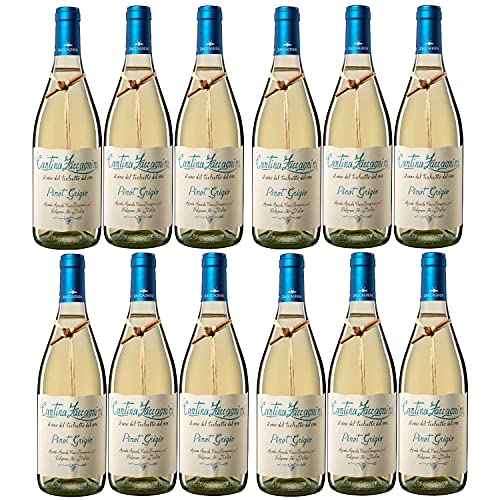 Zaccagnini Pinot Grigio IGT Weißwein Wein trocken Italien (12 Flaschen) von Zaccagnini