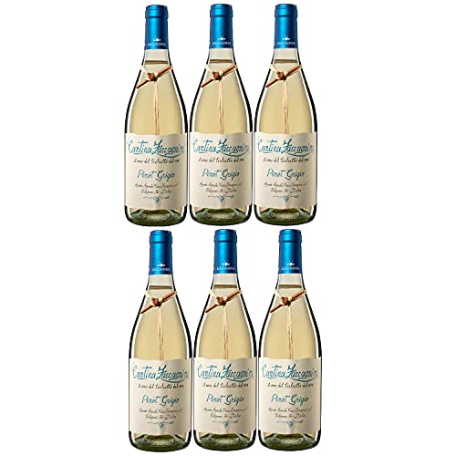 Zaccagnini Pinot Grigio IGT Weißwein Wein trocken Italien (6 Flaschen) von Zaccagnini
