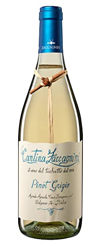 Zaccagnini Pinot Grigio IGT Trocken (1 x 0.75l) von Zaccagnini