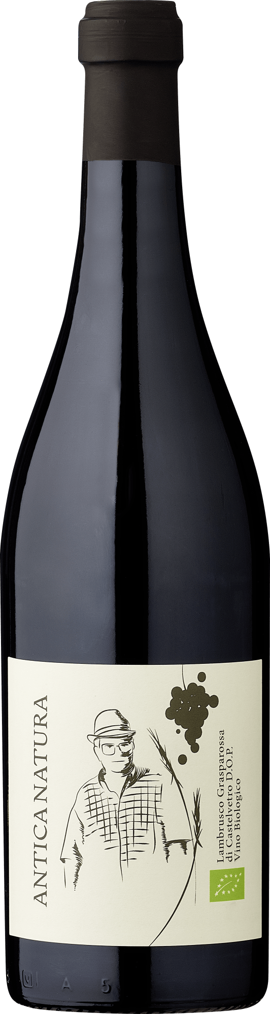 Zanasi Antica Natura Lambrusco – Bio Zanasi Antica Natura Lambrusco – Bio