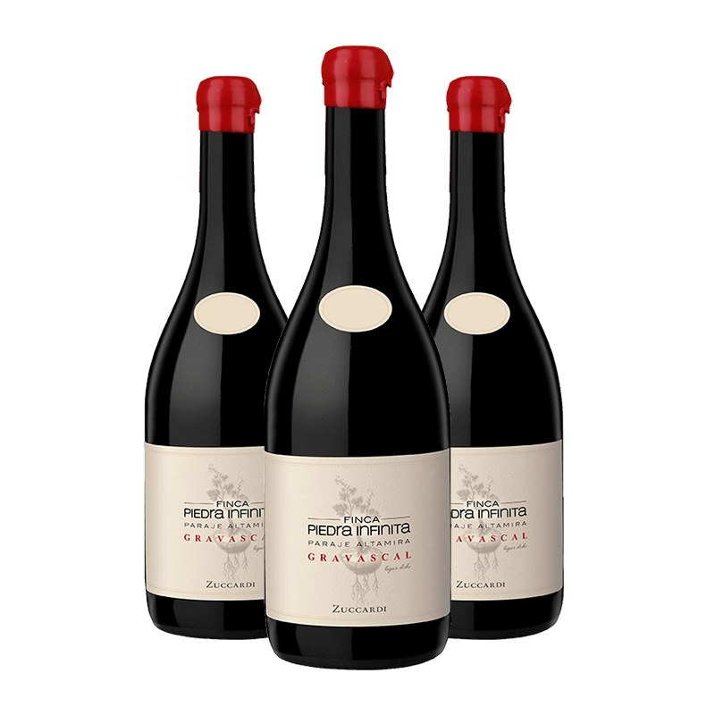 Zuccardi : Finca Piedra Infinita Gravascal Malbec 2020 Zuccardi : Finca Piedra Infinita Gravascal Malbec 2020 von Zuccardi