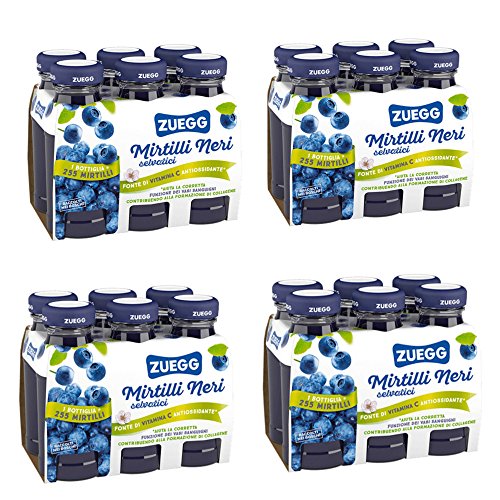 ZUEGG Blaubeeresaft Packung von 24 Flaschen von 125 ml von Zuegg