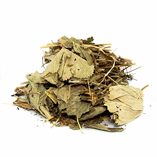 Alchemilla vulgaris Löwenklaue (250gram) von aktarzane