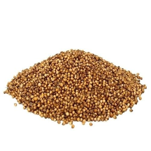 Coriandrum sativum L, (250gram) von aktarzane