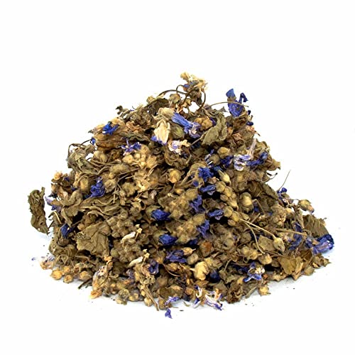 Echinacea purpurea Sonnenhut (1000gram) von aktarzane