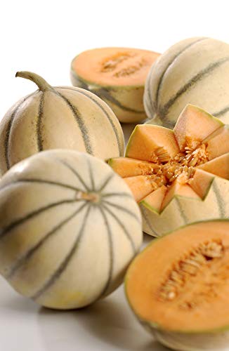 Honigmelone Charentais/Cantaloupe 1 x 1 Stk Honigmelone Charentais/Cantaloupe 1 x 1 Stk von amorebio