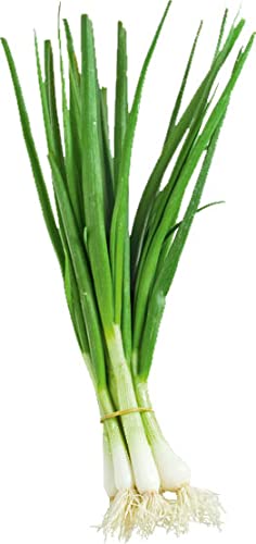 Lauchzwiebel 2 x 1 Stk Lauchzwiebel 2 x 1 Stk von amorebio