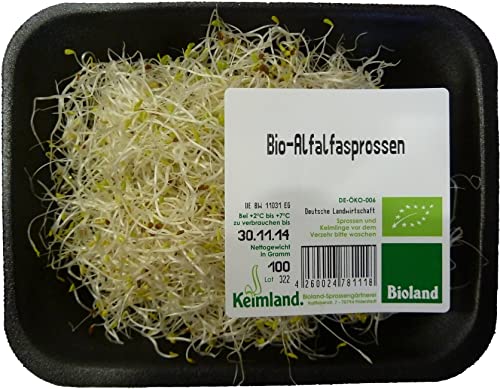 Alfalfa-Sprossen samenfest 6 x 100 gr von amorebio