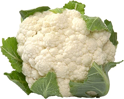 Blumenkohl 6 x 1 Stk von amorebio