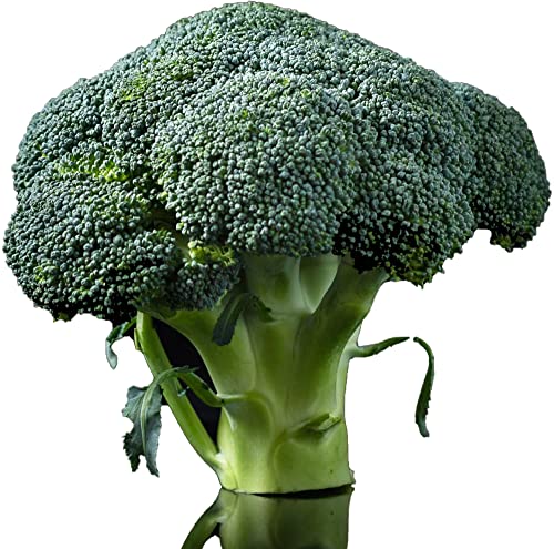 Obst & Gemüse Bio Brokkoli (1 x 1000 gr) von amorebio