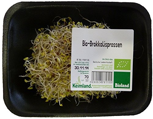 amorebio Brokkolisprossen samenfest (1 x 420 gr) von amorebio