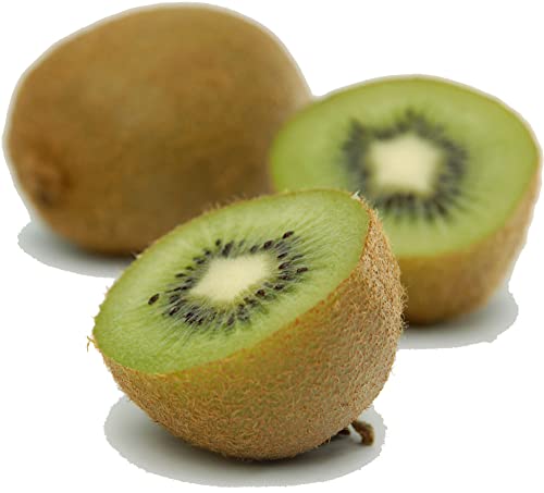 Kiwi 6 x 1 Stk von amorebio