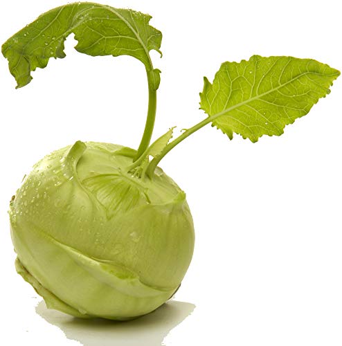 Kohlrabi weiss 2 x 1 Stk von amorebio