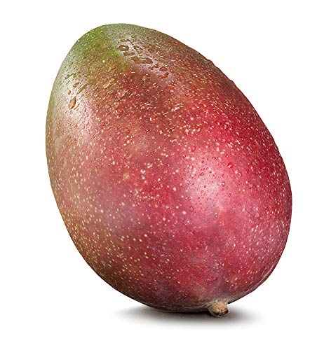 Mango 1 x 1 Stk von amorebio
