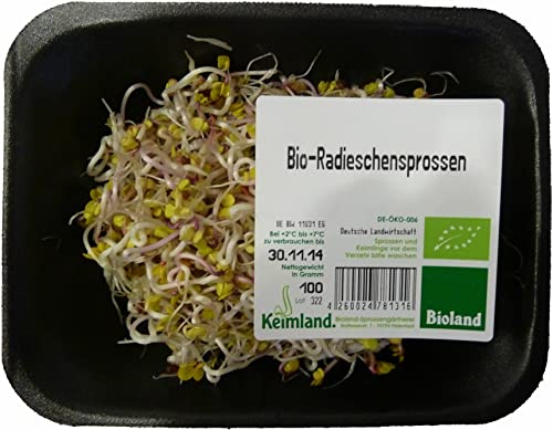 Radieschensprossen samenfest 6 x 100 gr von amorebio
