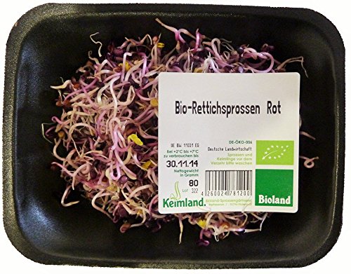 amorebio Rettichsprossen rot samenfest (1 x 480 gr) von amorebio